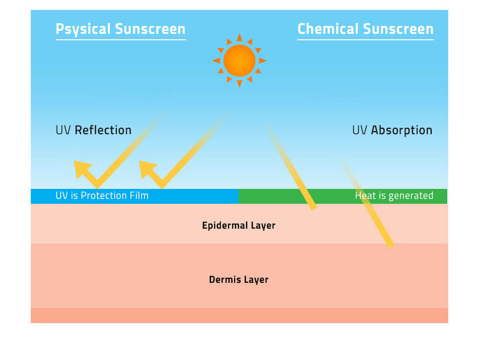 Types of sunscreen according to ingredients