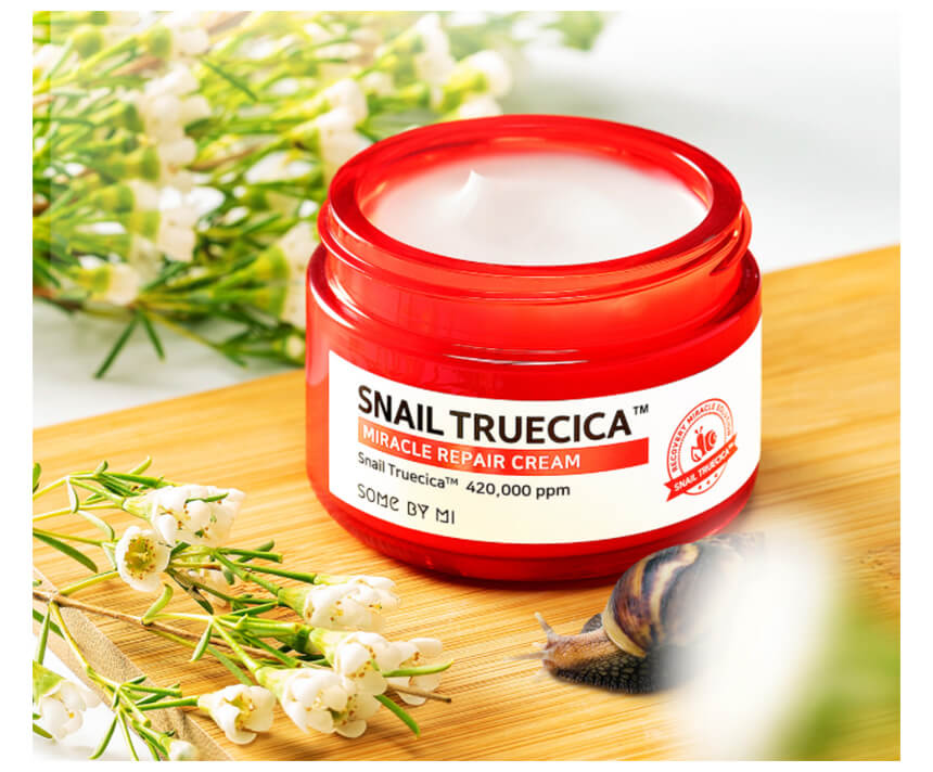 snail cream