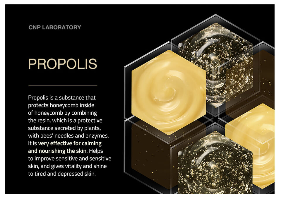 Propolis ampoule