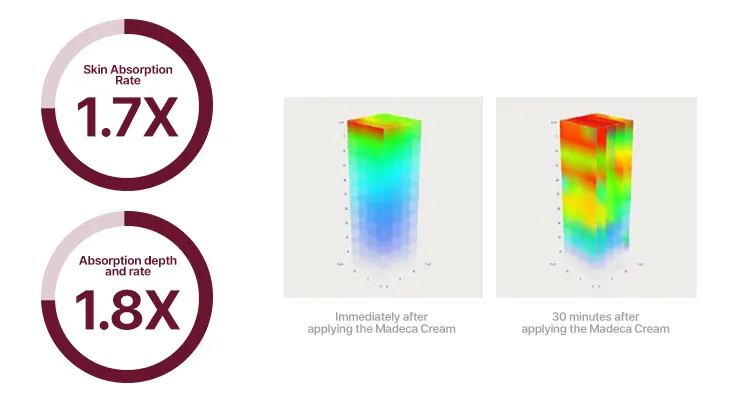 Graph1 Absorption rate and Absorption Depth Korea Beauty For You