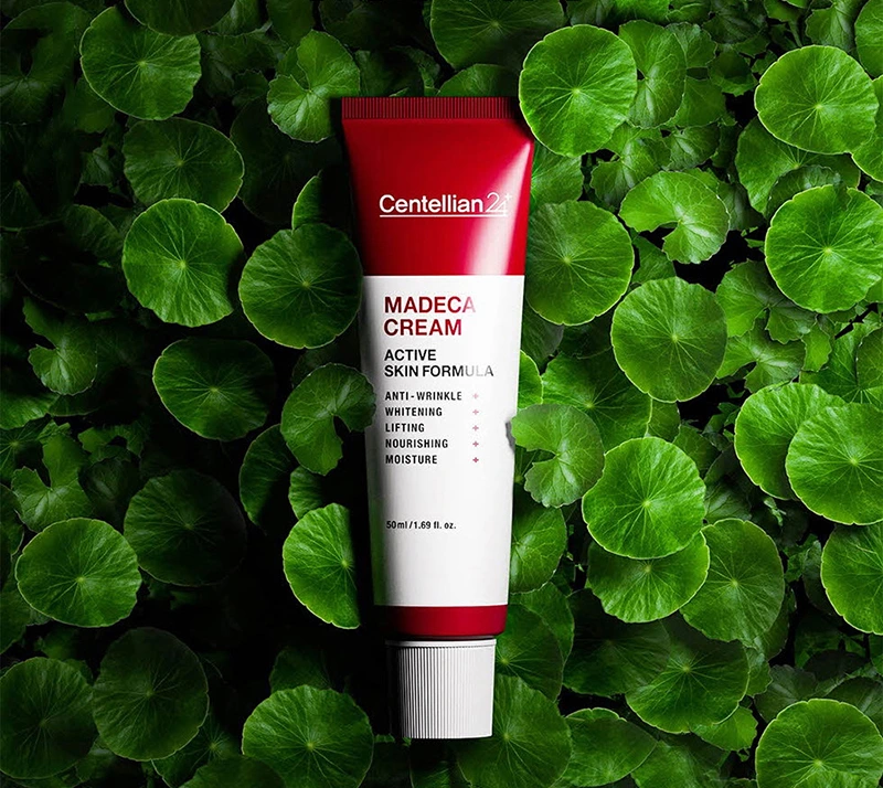 Centella asiatica cream for wrinkle