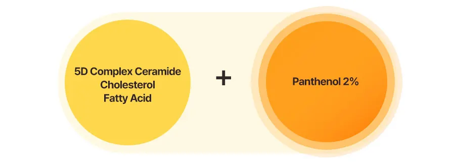 Ceramide moisturizer, TORRIDEN SOLID IN Ceramide Cream 70ml