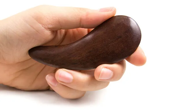 Gua Sha Massager, VANAV Time Machine
