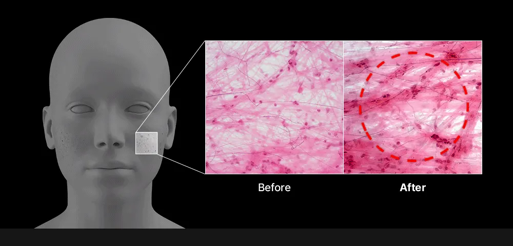 SUNGBOON EDITOR Deep Collagen Retinol Power Boosting Cream 50ml