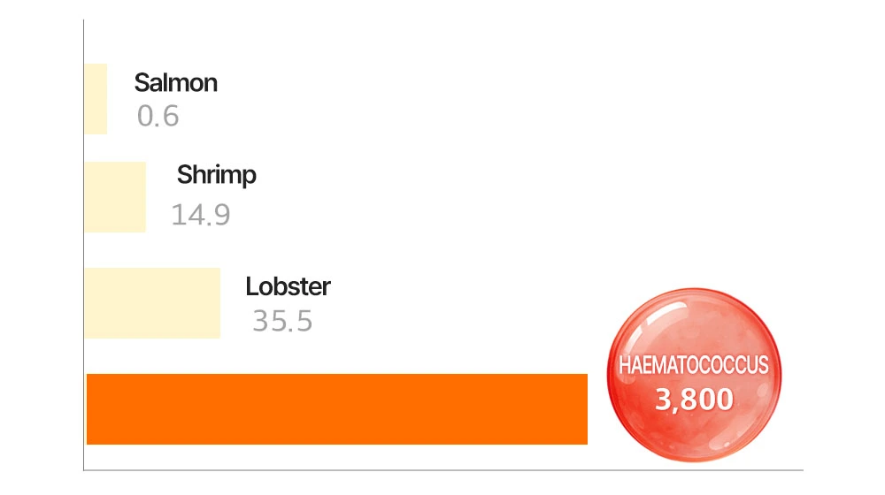 SUNGBOON EDITOR Active Marine Astaxanthin Capsule Cream 50g Korea Beauty For You Dark Spot Remover, SBEDT Active Marine Astaxanthin Capsule Cream 50g