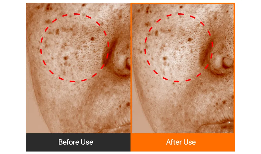 SUNGBOON EDITOR Active Marine Astaxanthin Capsule Cream 50g Korea Beauty For You Dark Spot Remover, SBEDT Active Marine Astaxanthin Capsule Cream 50g