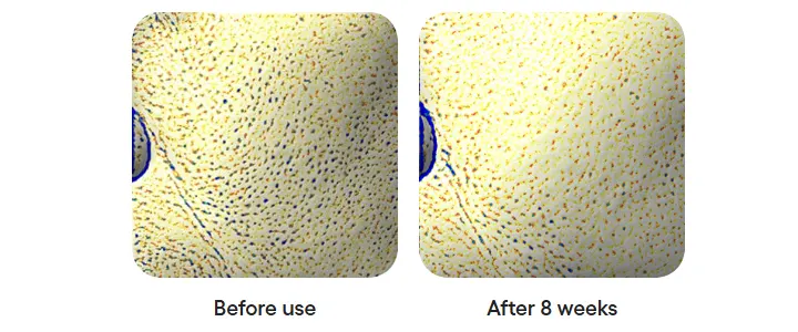 LANEIGE Bouncy & Firm Sleeping Mask 60ml, Overnight Firming Mask Korea Beauty For You Leave on Mask, LANEIGE Bouncy & Firm Sleeping Mask