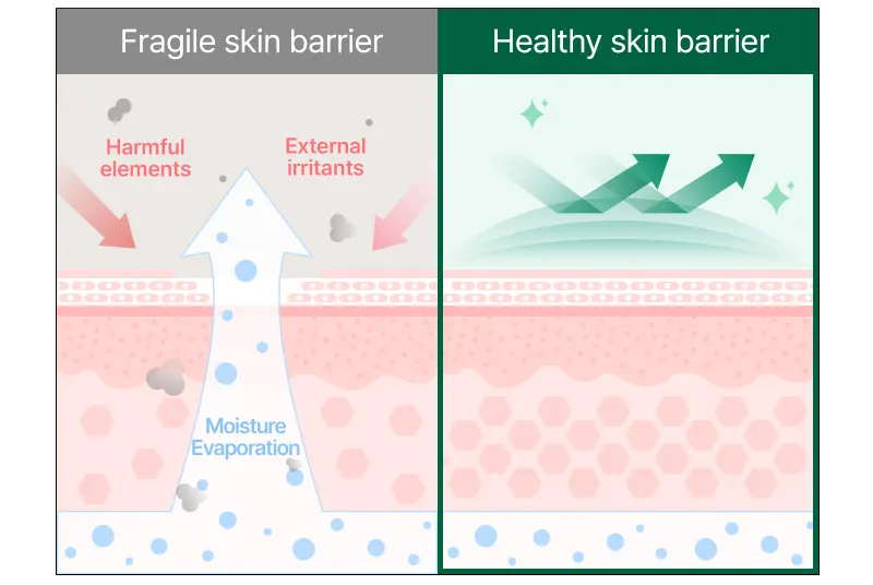 EASYDEW Barrier Repair Cream 105ml Korea Beauty For You EASYDEW Barrier Repair Cream 105ml