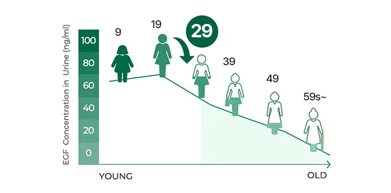 EASYDEW Barrier Repair Cream 105ml Korea Beauty For You EASYDEW Barrier Repair Cream 105ml