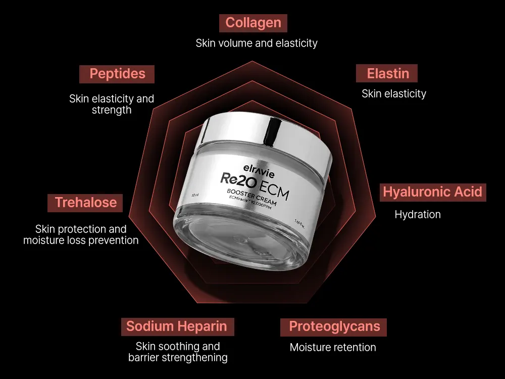 ELRAVIE Re2O ECM BOOSTER CREAM 50ml Korea Beauty For You ELRAVIE Re2O ECM BOOSTER CREAM 50ml