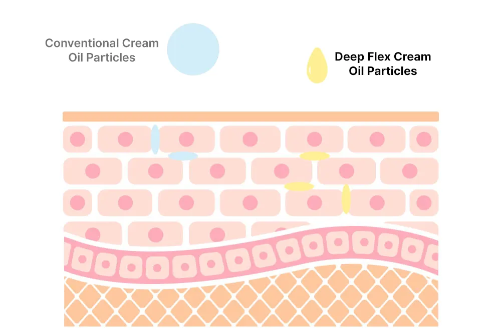NOSCA9 Pore Enhancing Cream03 Korea Beauty For You